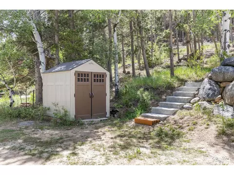 Exterior - 38 E Pine St, Nederland, CO 80466 photo 6 of 8