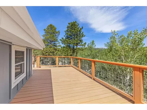 Exterior - 38 E Pine St, Nederland, CO 80466 photo 3 of 8