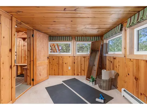 Other - 38 E Pine St, Nederland, CO 80466 photo 8 of 14