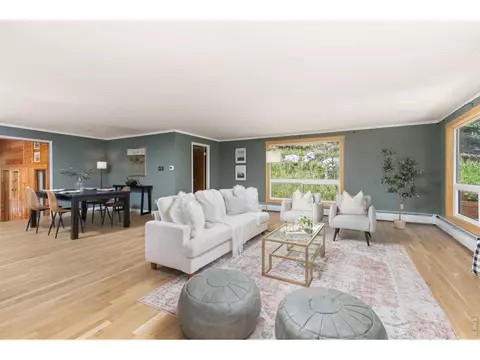 Living - 38 E Pine St, Nederland, CO 80466 photo 3 of 5