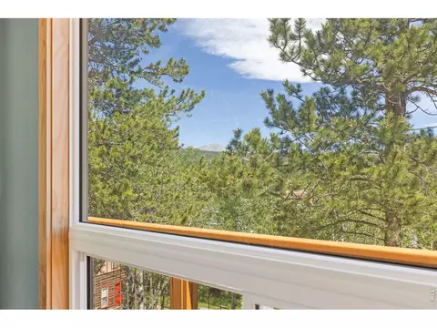 Other - 38 E Pine St, Nederland, CO 80466 photo 3 of 14