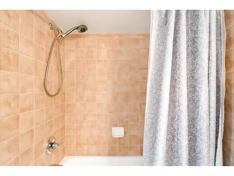 Bath - 9135 E 29th Pl, Denver, CO 80238 photo 10 of 10