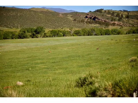 10231 Buckhorn Ridge Way, Loveland, CO 80538