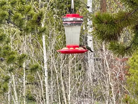 Other - 25 Aspen Dr, Walden, CO 80480 photo 2 of 9