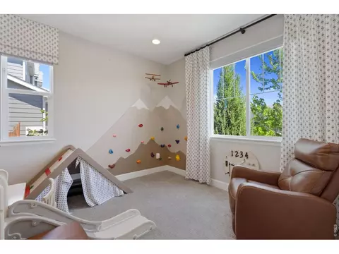 Other - 5502 Shady Oaks Dr, Windsor, CO 80528 photo 2 of 6