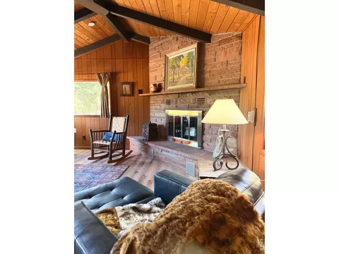 Living - 438 Aspen Dr, Lyons, CO 80540 photo 2 of 5