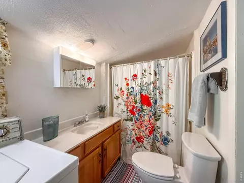 Bath - 438 Aspen Dr, Lyons, CO 80540 photo 3 of 3