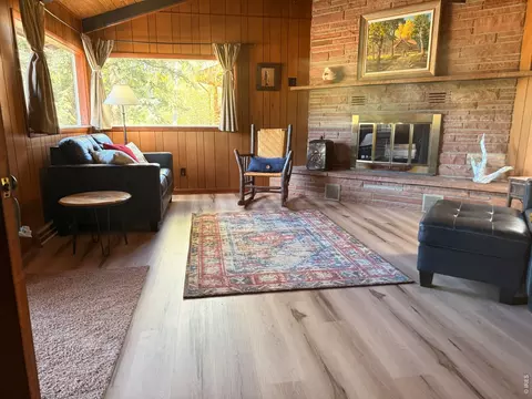 Living - 438 Aspen Dr, Lyons, CO 80540 photo 4 of 5