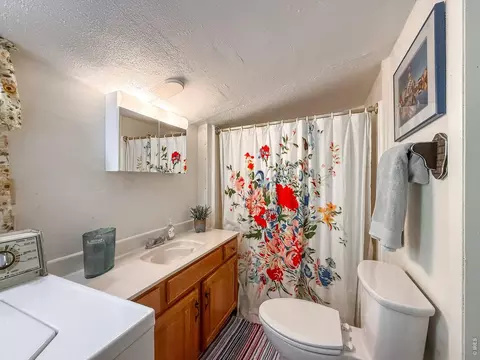 Bath - 438 Aspen Dr, Lyons, CO 80540 photo 3 of 3