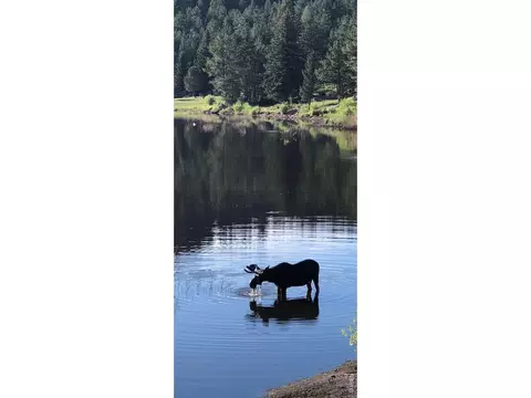 View/Area - 438 Aspen Dr, Lyons, CO 80540 photo 3 of 4