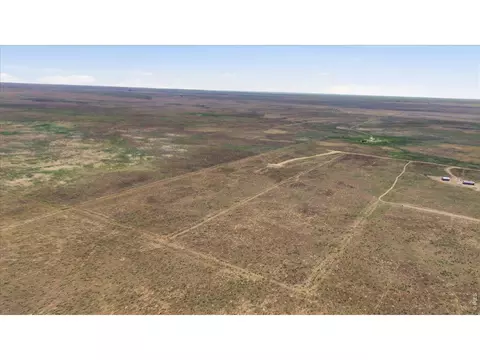 0 Cr 49, Ault, CO 80610 photo 21