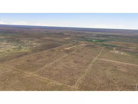 0 Cr 49, Ault, CO 80610 photo 23
