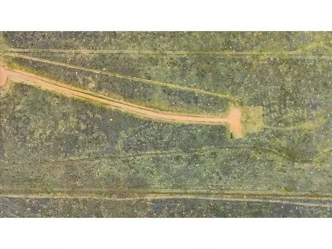 0 Cr 49, Ault, CO 80610 photo 15