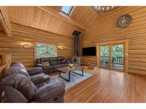 Living - 28 Ute Crossing Ct, Lyons, CO 80540 photo 2 of 4