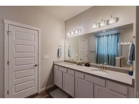 4535 Bishopsgate Dr, Windsor, CO 80550 photo 18