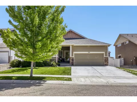 374 Mt Bross Ave, Windsor, CO 80550