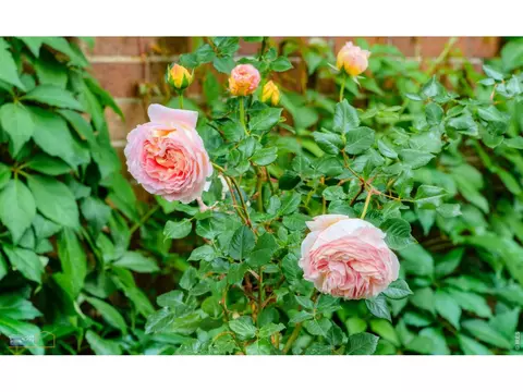 Other - 604 Mapleton Ave, Boulder, CO 80304 photo 4 of 8