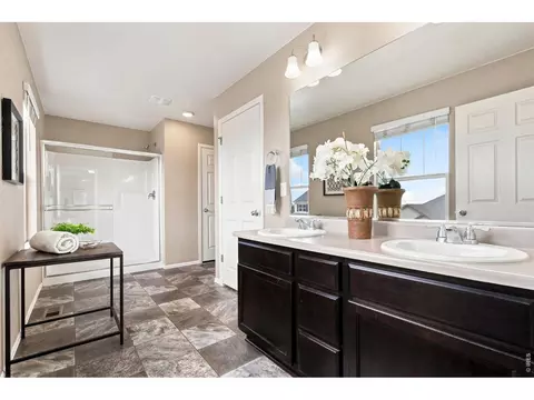 Bath - 1663 Highfield Dr, Windsor, CO 80550 photo 2 of 3