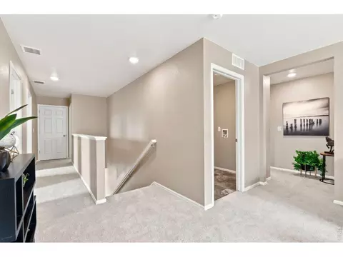 Entry Way - 1663 Highfield Dr, Windsor, CO 80550 photo 2 of 2