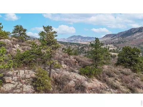 2155 Apple Valley Rd, Lyons, CO 80540 photo 14