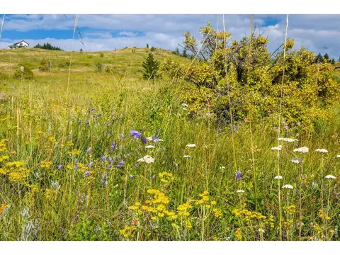 730 Lost Angel Rd, Boulder, CO 80302 photo 23