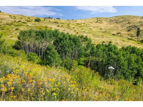 730 Lost Angel Rd, Boulder, CO 80302 photo 24