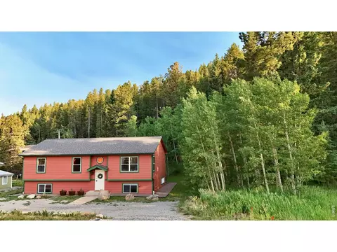 788 W 4th St, Nederland, CO 80466