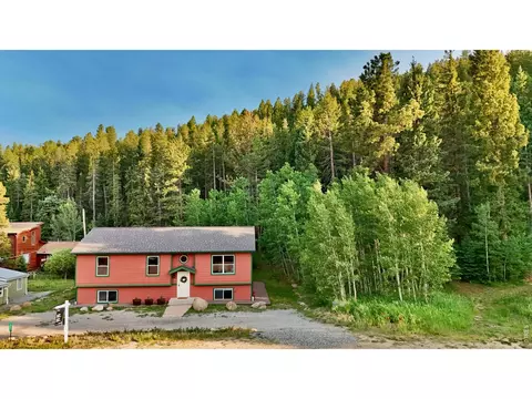 788 W 4th St, Nederland, CO 80466