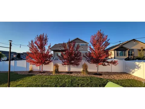 Exterior - 862 Sunlight Peak Dr, Windsor, CO 80550 photo 3 of 5