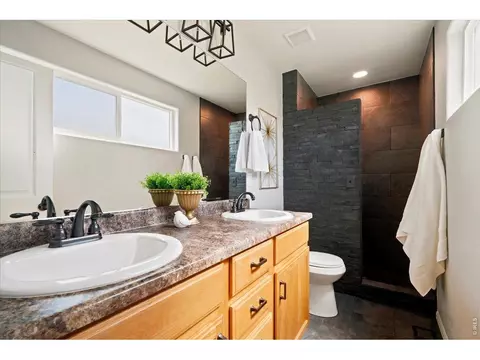 Bath - 862 Sunlight Peak Dr, Windsor, CO 80550 photo 1 of 2