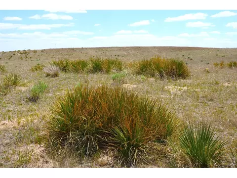 40777 County Road 46, Fleming, CO 80728 photo 14