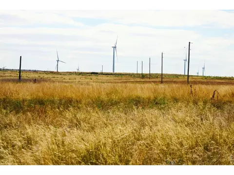 40777 County Road 46, Fleming, CO 80728 photo 7