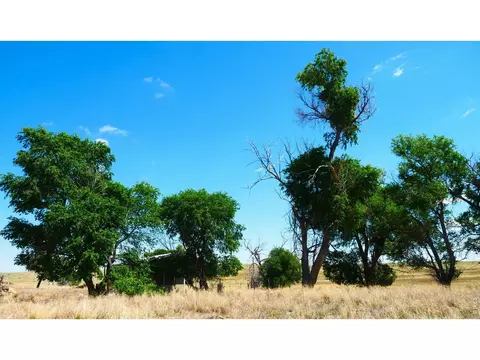 40777 County Road 46, Fleming, CO 80728 photo 6