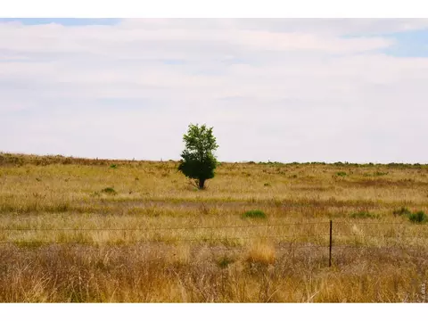 40777 County Road 46, Fleming, CO 80728 photo 8