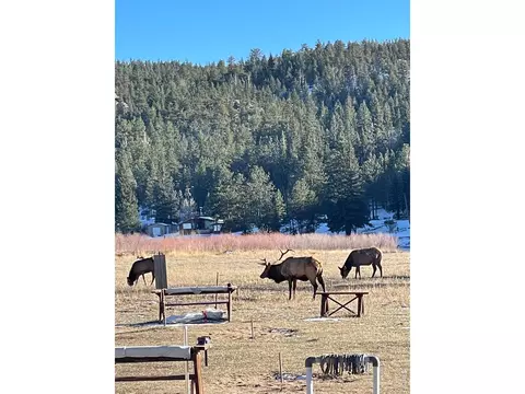 0 Hemlock Dr, Lyons, CO 80540 photo 31
