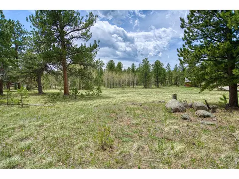 73 Sparn Way, Ward, CO 80481 photo 6