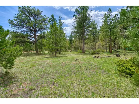 73 Sparn Way, Ward, CO 80481 photo 8
