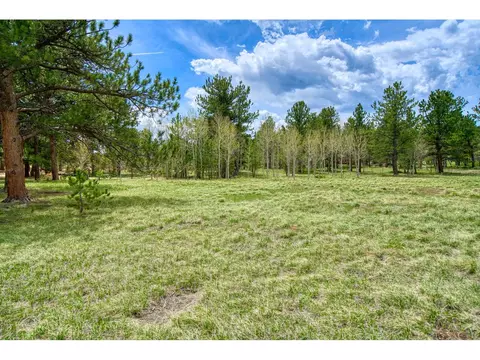 73 Sparn Way, Ward, CO 80481 photo 2