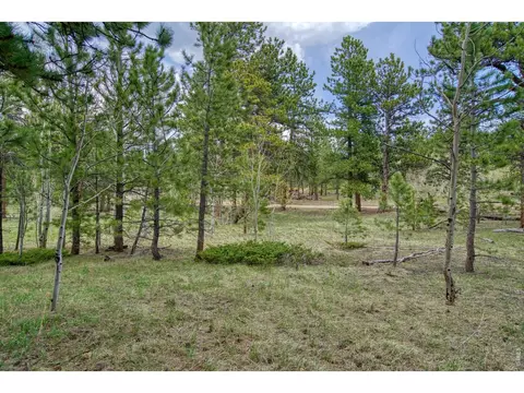 73 Sparn Way, Ward, CO 80481 photo 7