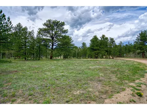 73 Sparn Way, Ward, CO 80481