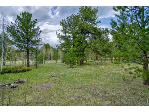 0 Sparn Way, Jamestown, CO 80302 photo 3