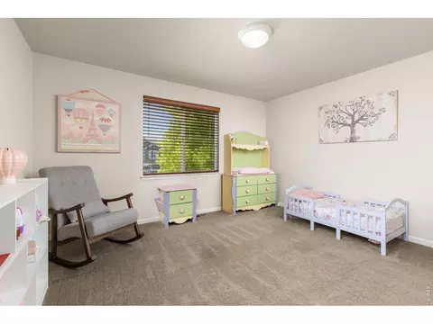 Other - 279 Bittern Dr, Johnstown, CO 80534 photo 5 of 9