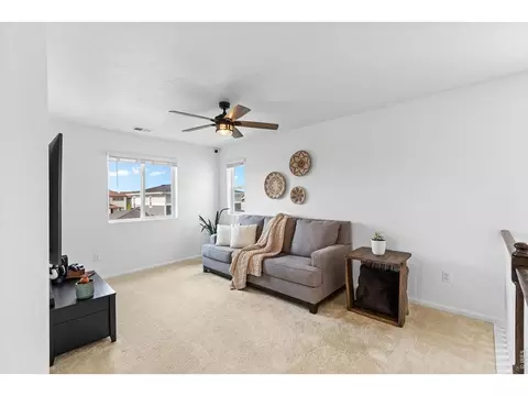 Other - 1228 Argali Dr, Severance, CO 80550 photo 6 of 10