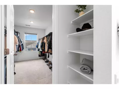 Other - 1228 Argali Dr, Severance, CO 80550 photo 8 of 10