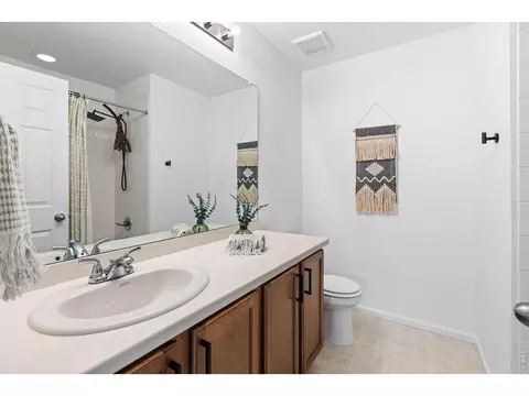 Bath - 1228 Argali Dr, Severance, CO 80550 photo 4 of 5