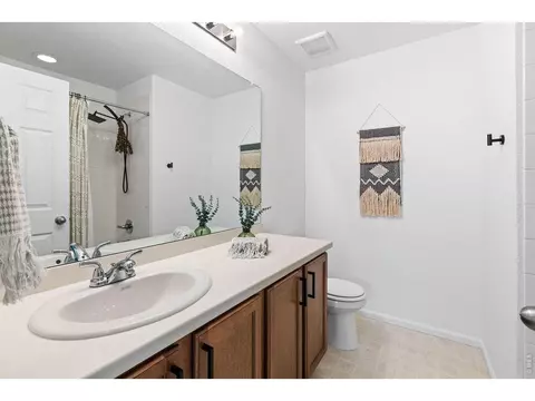 Bath - 1228 Argali Dr, Severance, CO 80550 photo 4 of 5