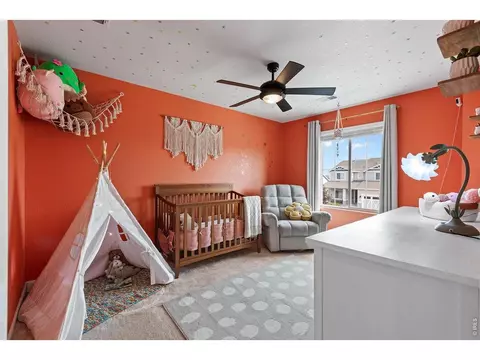 Bedroom - 1228 Argali Dr, Severance, CO 80550 photo 5 of 6
