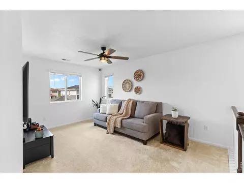 Other - 1228 Argali Dr, Severance, CO 80550 photo 5 of 10