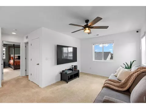 Other - 1228 Argali Dr, Severance, CO 80550 photo 7 of 10