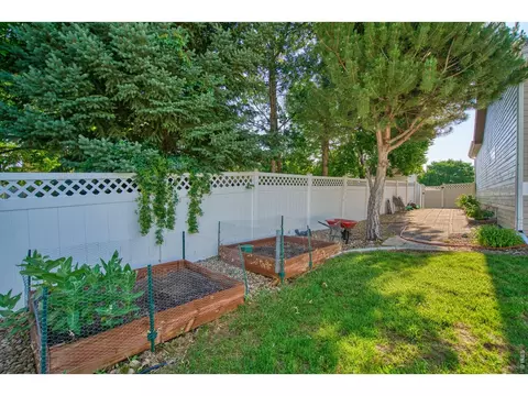 Exterior - 290 Clark Ct, Windsor, CO 80550 photo 10 of 10